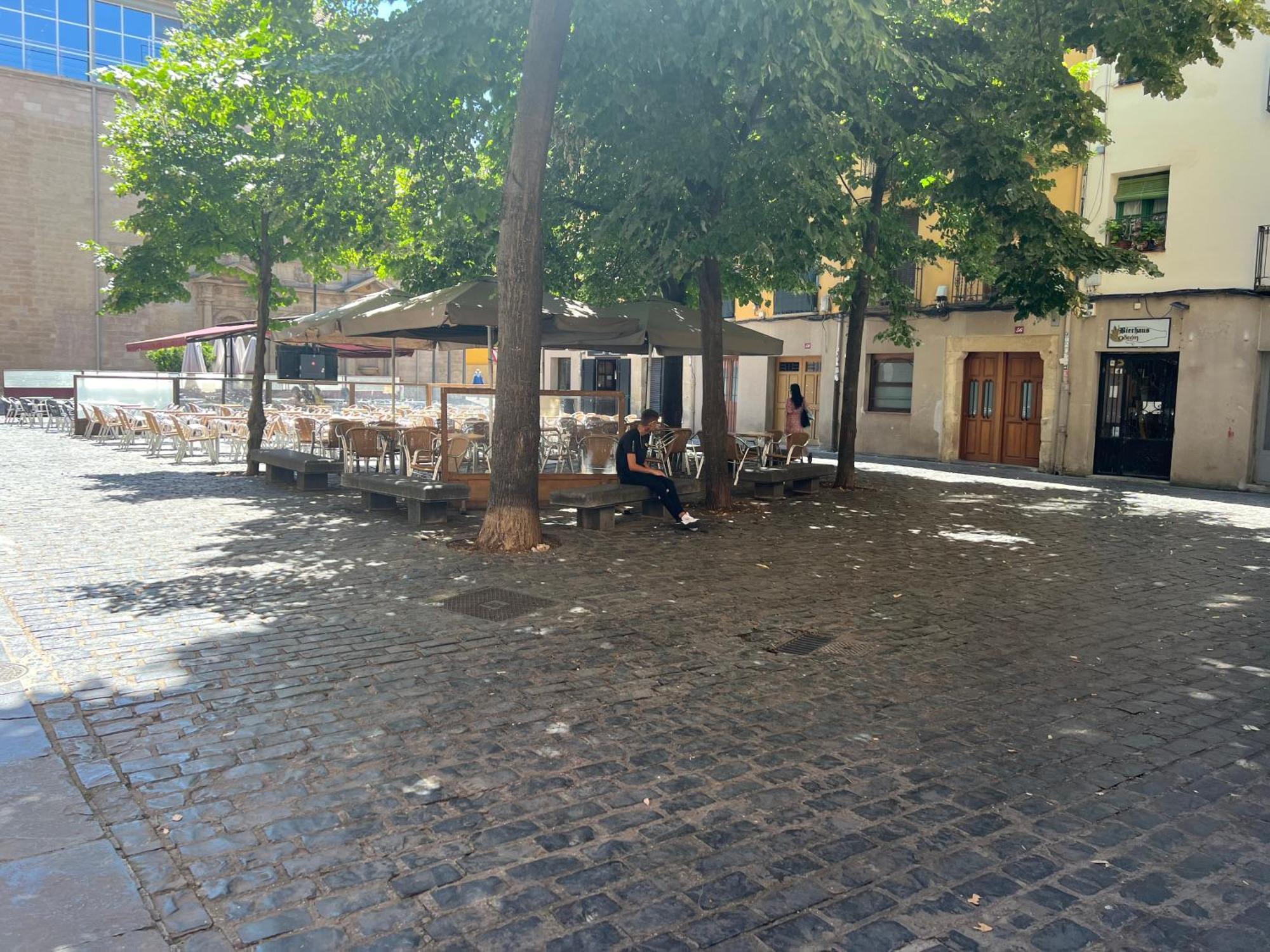 Murallas De Revelin & Laurel -Casco Antiguo- Logroño Buitenkant foto